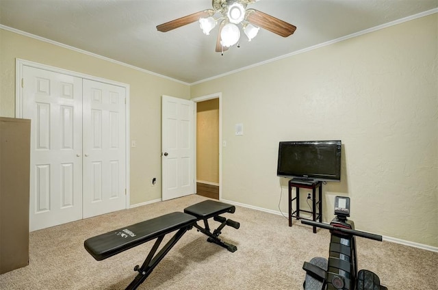 workout area featuring ceiling fan, ornamental molding, and carpet floors