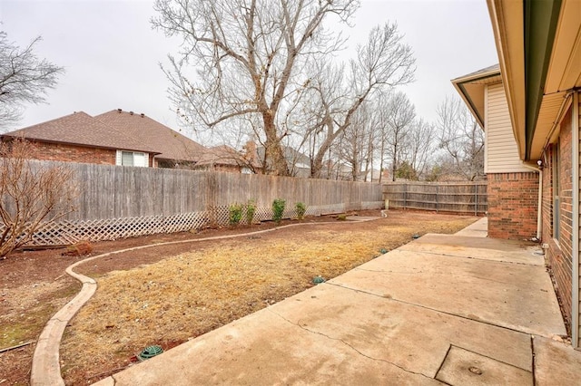 view of yard featuring a patio area