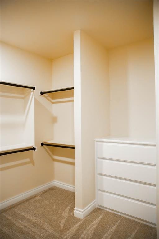 walk in closet with carpet flooring