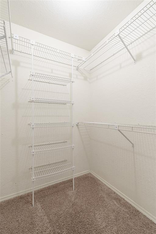 walk in closet featuring carpet flooring