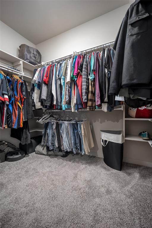 spacious closet featuring carpet flooring