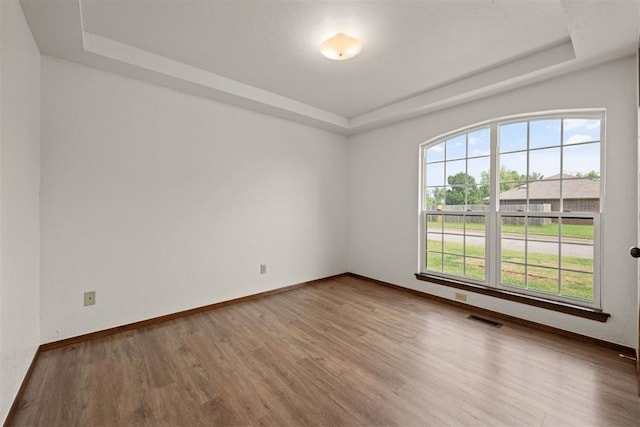 unfurnished room with wood-type flooring and a raised ceiling