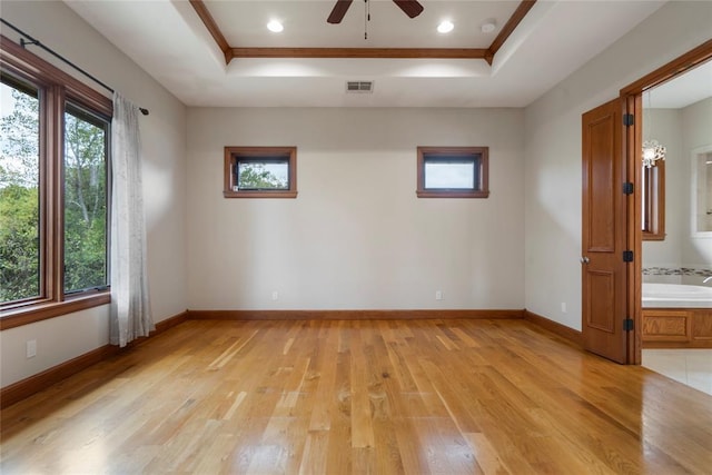 spare room with plenty of natural light, light hardwood / wood-style floors, and a raised ceiling