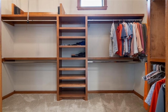 spacious closet featuring light carpet