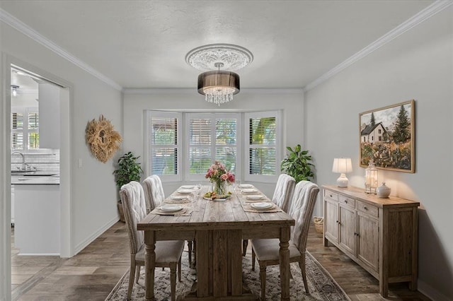 dining space with crown molding, wood-type flooring, and a healthy amount of sunlight