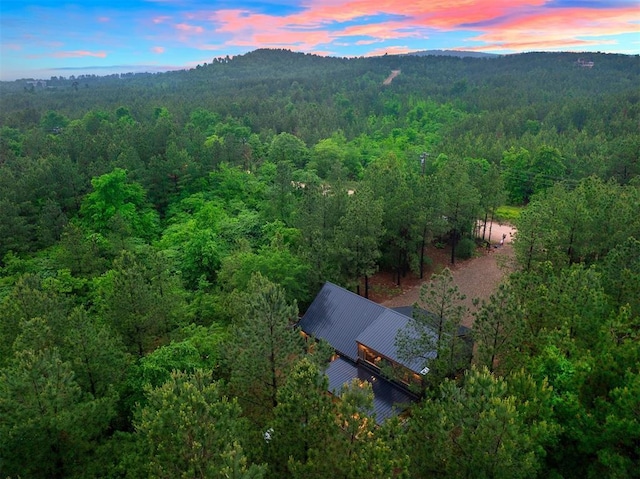 1194 Camp Ranch Rd, Broken Bow, OK 74728 - view of subject property featuring a heavily wooded area