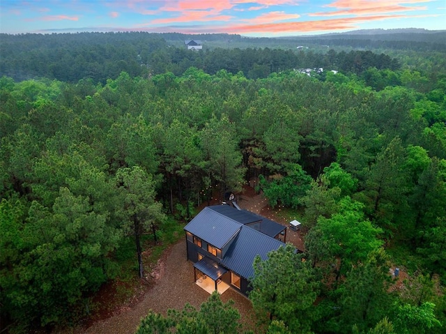 1194 Camp Ranch Rd, Broken Bow, OK 74728 - view of subject property featuring a forest