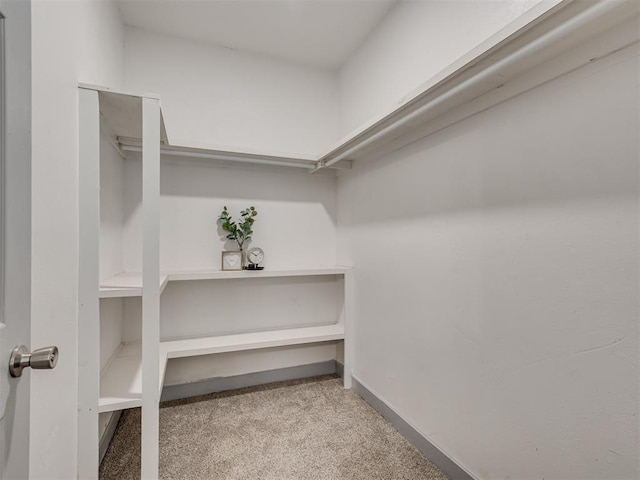 spacious closet with light colored carpet