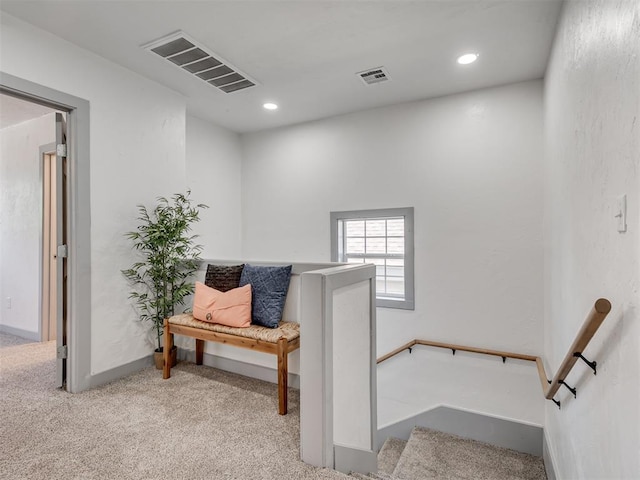 living area featuring light colored carpet