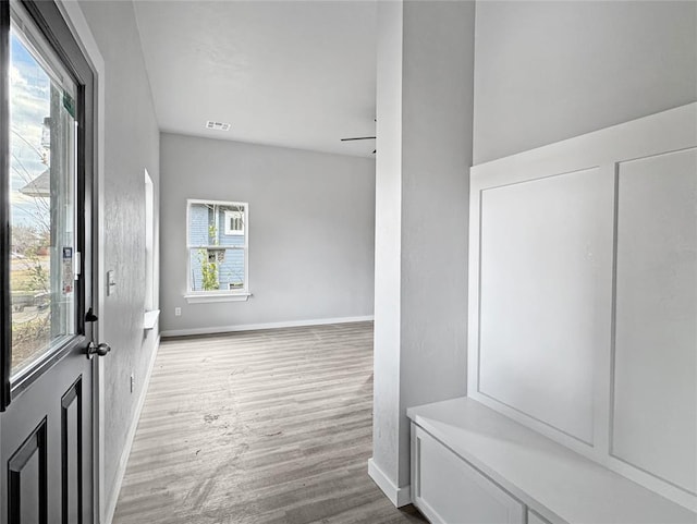 mudroom featuring plenty of natural light and light wood-type flooring