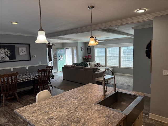 kitchen featuring dark wood finished floors, a healthy amount of sunlight, baseboards, and ornamental molding