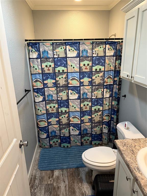 bathroom with ornamental molding, vanity, wood finished floors, and curtained shower