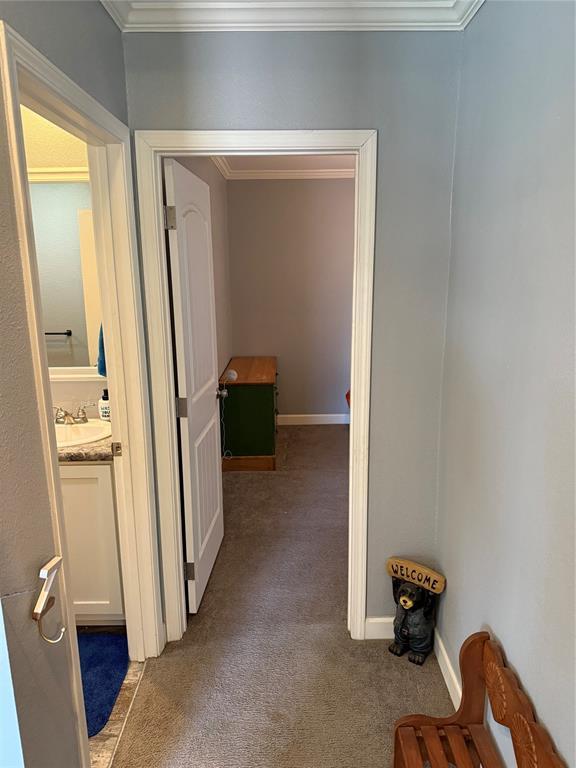 hallway with a sink, baseboards, carpet floors, and ornamental molding