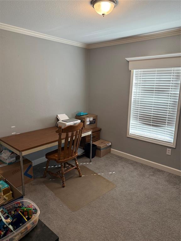 office featuring baseboards, carpet floors, and ornamental molding