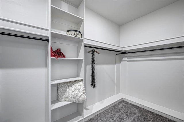 spacious closet with carpet floors