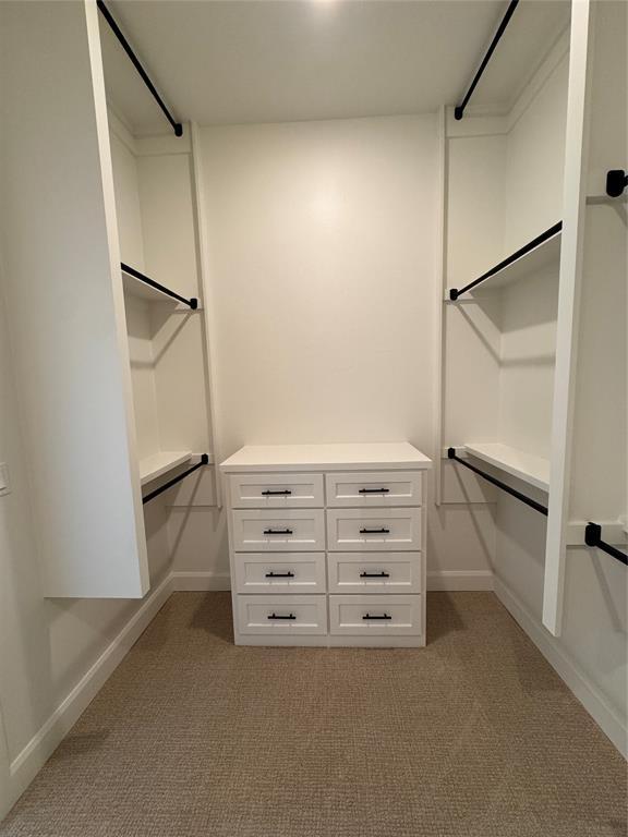 12812 Cobblestone Curve Rd, Oklahoma City, OK 73142 - walk in closet with carpet flooring