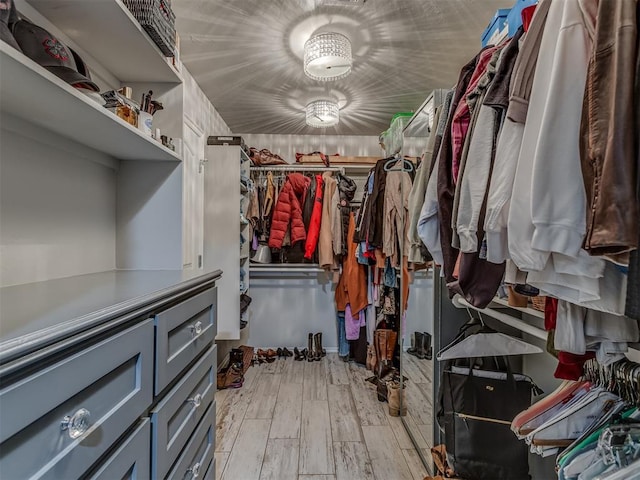 spacious closet with light wood finished floors