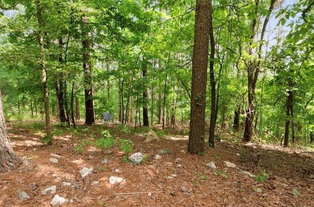 view of local wilderness