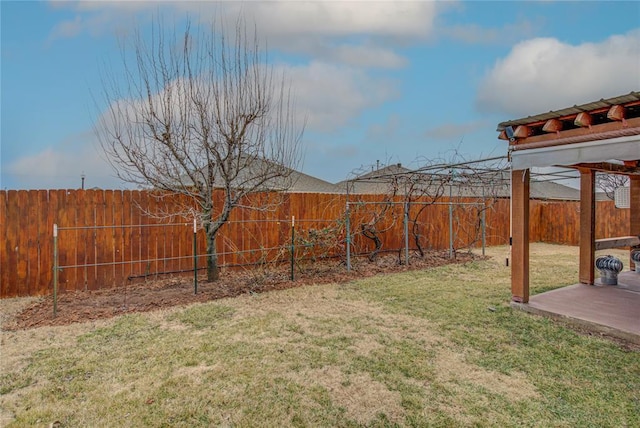 view of yard featuring a patio area