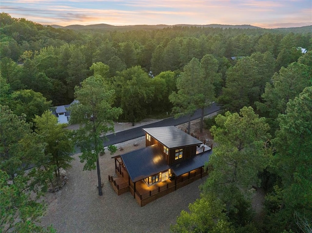 aerial view at dusk of a view of trees