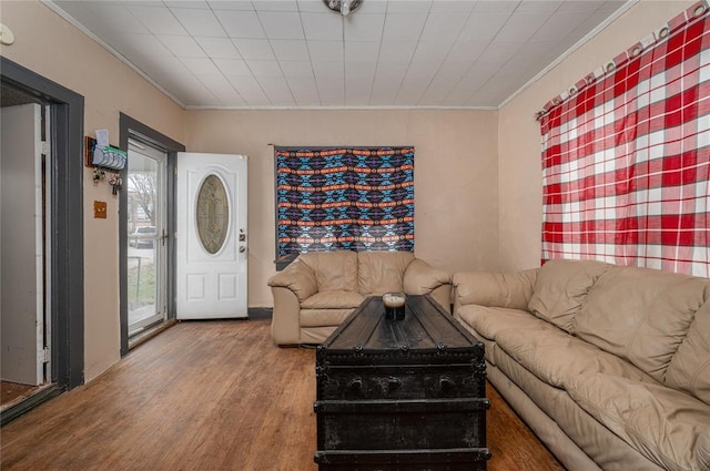 living room with wood-type flooring and ornamental molding