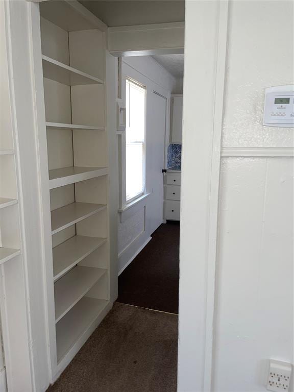 spacious closet featuring dark carpet