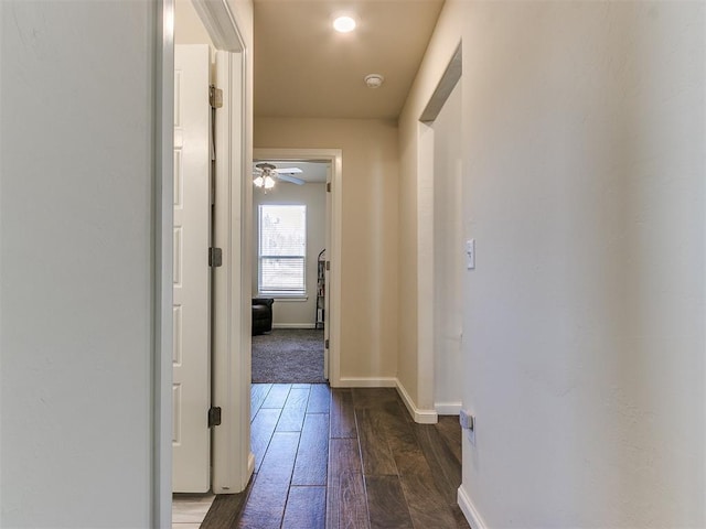 hallway with dark hardwood / wood-style floors