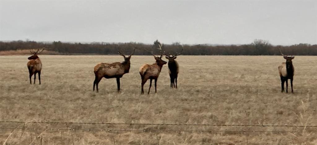 Ew 1480, Cooperton, OK 73564