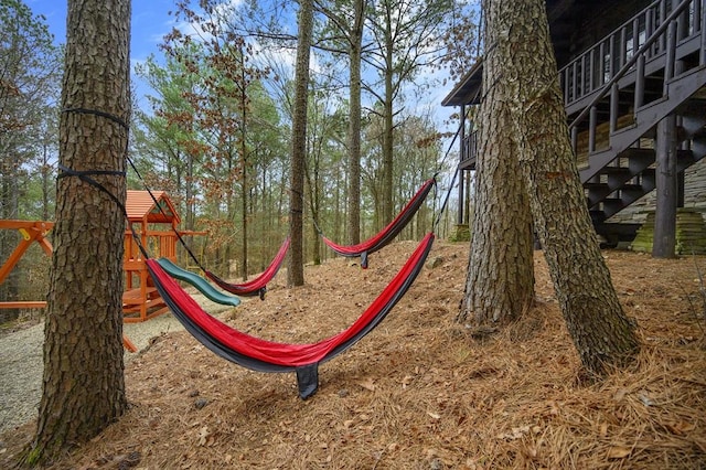 view of jungle gym