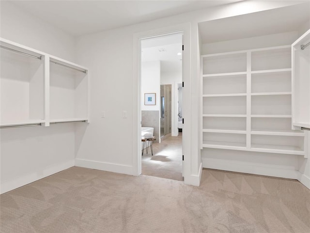 spacious closet with carpet floors