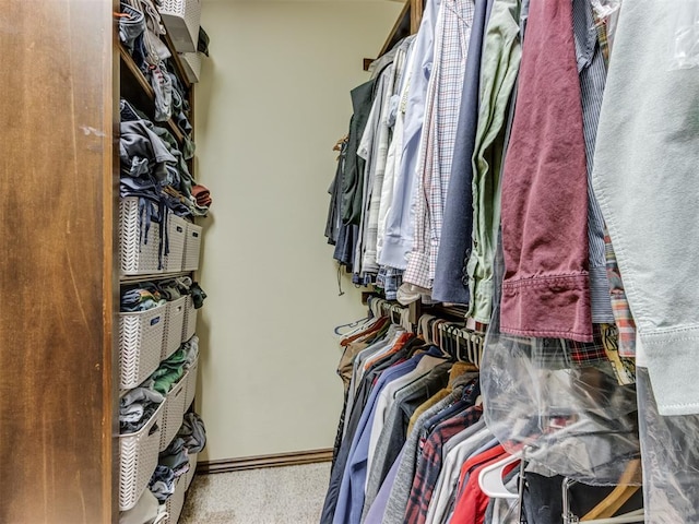 view of walk in closet