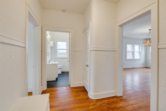 hallway with wood-type flooring