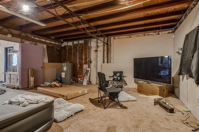 basement with electric water heater