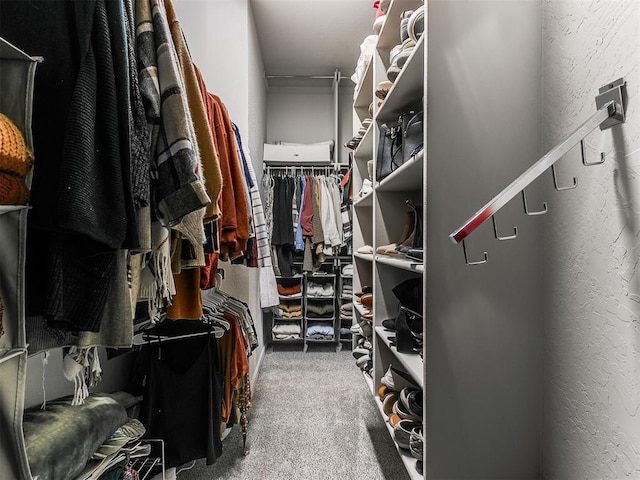 walk in closet featuring carpet floors