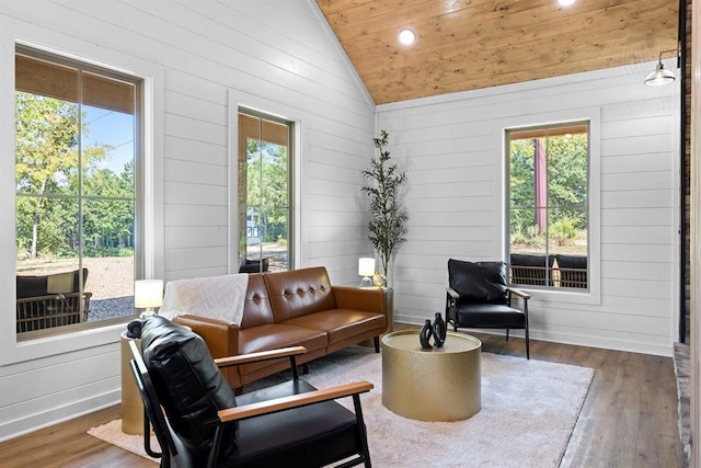 interior space featuring vaulted ceiling, dark hardwood / wood-style floors, and plenty of natural light