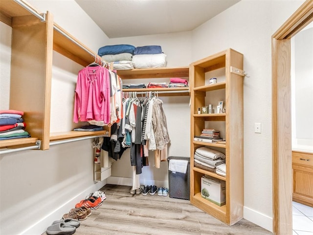 spacious closet featuring light wood finished floors