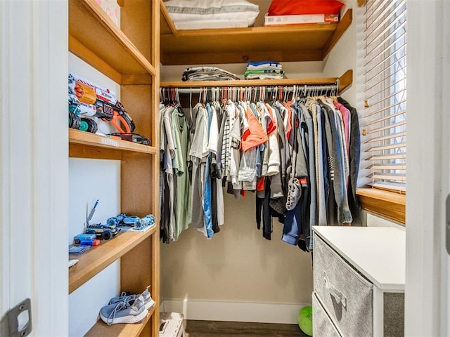 view of walk in closet