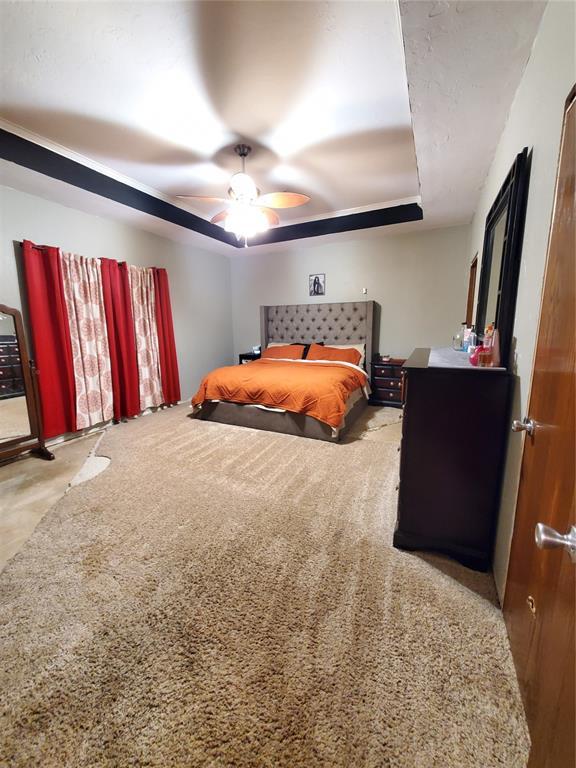 bedroom with a raised ceiling, light colored carpet, and ceiling fan