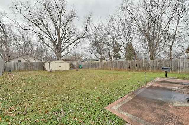 view of yard featuring a patio and a storage shed