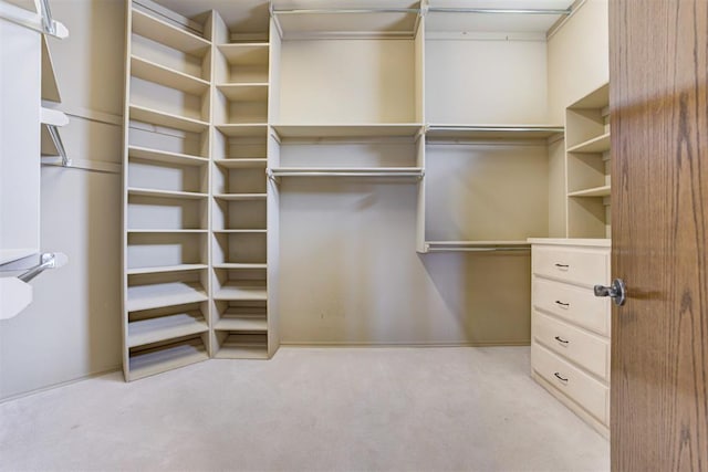 spacious closet with light carpet