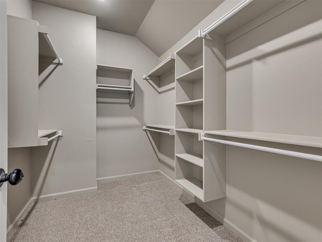 walk in closet featuring lofted ceiling and carpet flooring