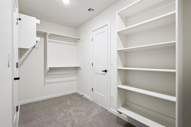 spacious closet with light colored carpet