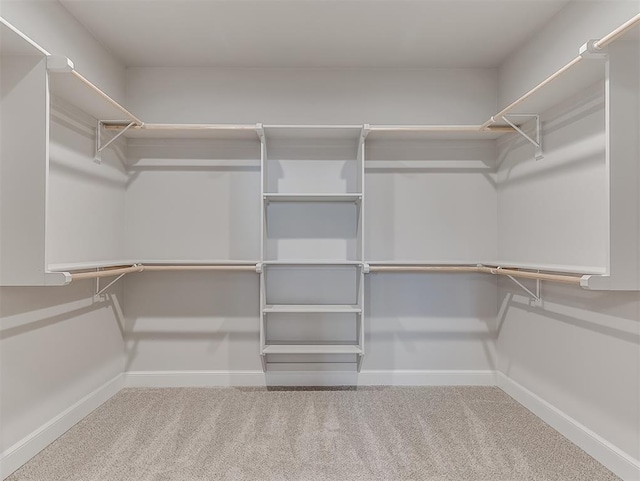 6209 Rivergate Dr, Shawnee, OK 74804 - spacious closet with carpet flooring