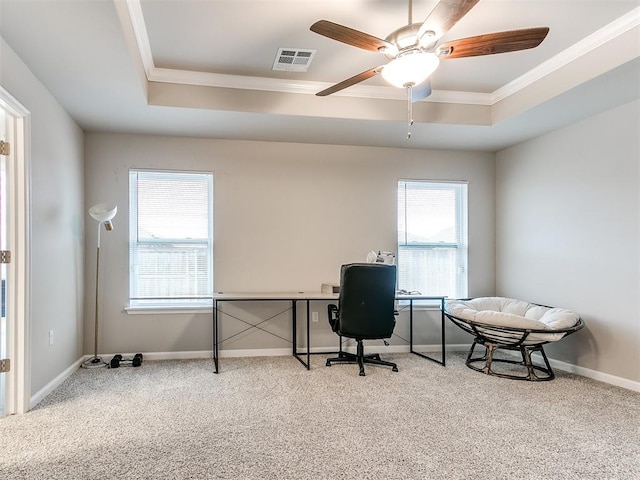 office area featuring plenty of natural light, carpet flooring, and a tray ceiling