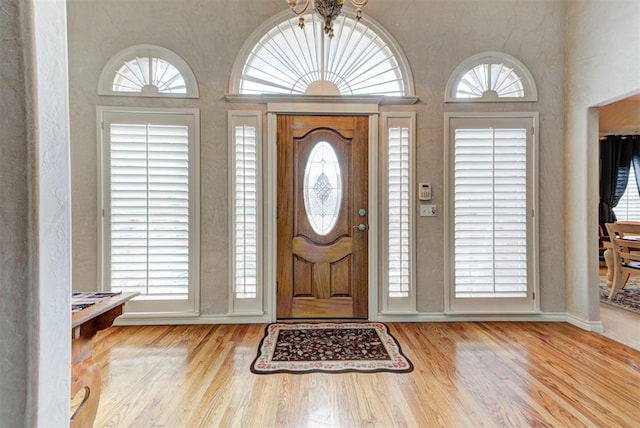 foyer entrance featuring plenty of natural light and light hardwood / wood-style flooring