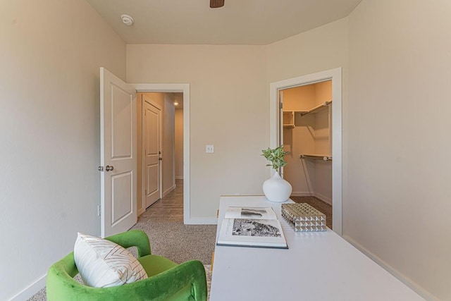 interior space featuring carpet, a ceiling fan, and baseboards