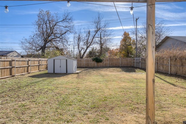 view of yard with a shed