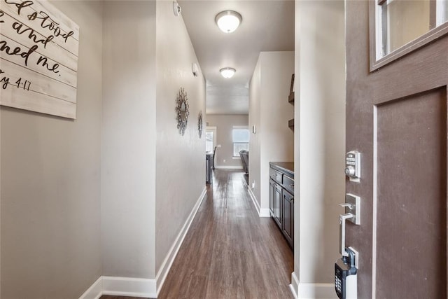 hallway featuring wood-type flooring