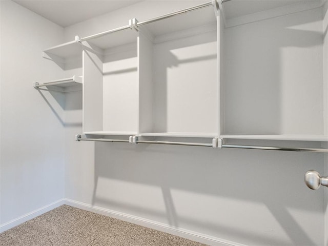 817 Carrie Ct, Purcell, OK 73080 - spacious closet featuring carpet floors