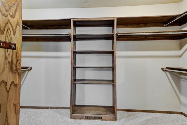 spacious closet with carpet flooring